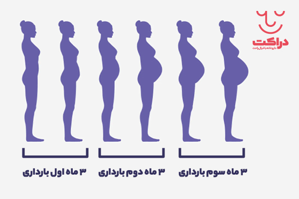 مکمل های بارداری در هر سه ماه باهم متفاوت هستند